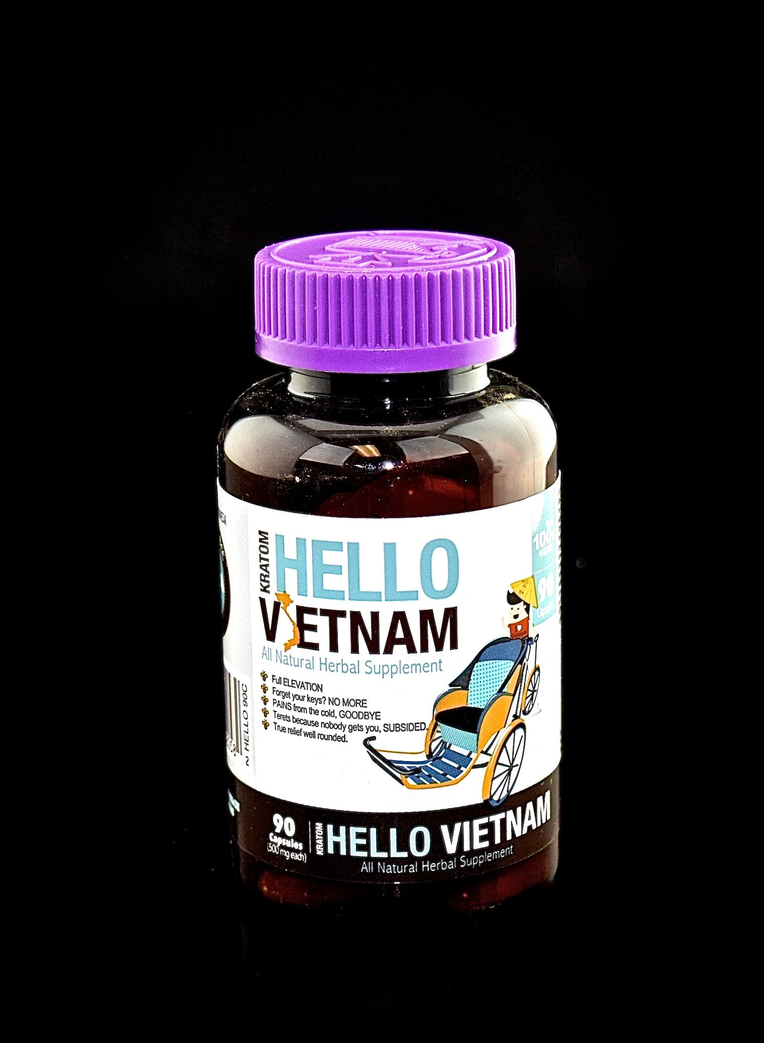 Bumble Bee Hello Vietnam